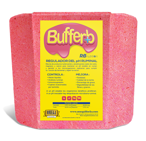 Buffer+B