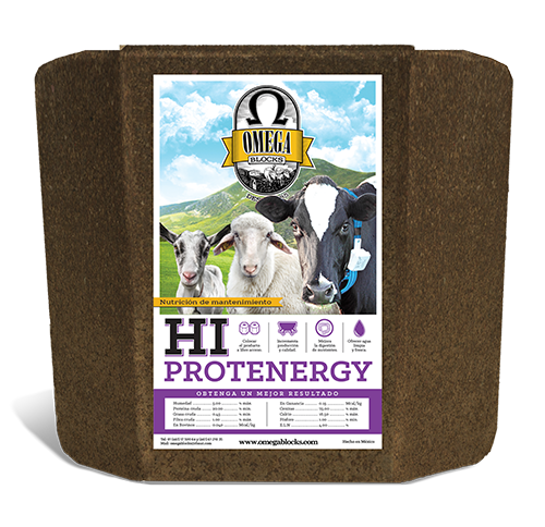 Hi protenergy