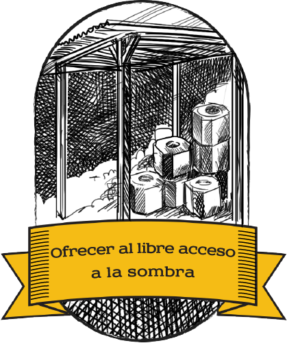 Mantener en lugar fresco y seco