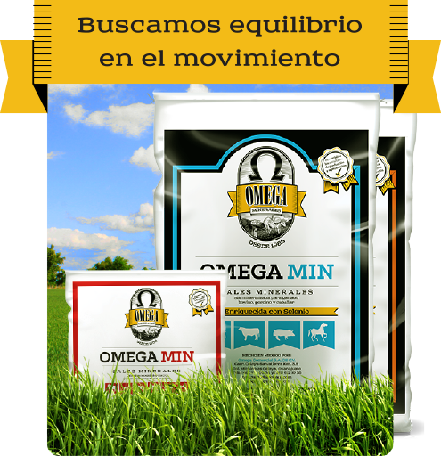 Conoce nuestras sales