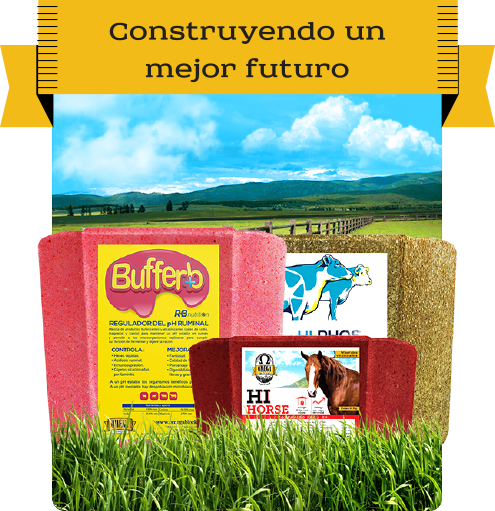 Conócelos
